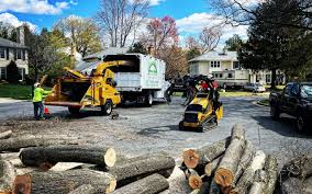 Best Arborist Consultation Services  in Huntsville, AL