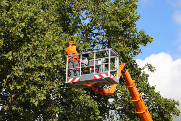 Best Utility Line Clearance  in Huntsville, AL